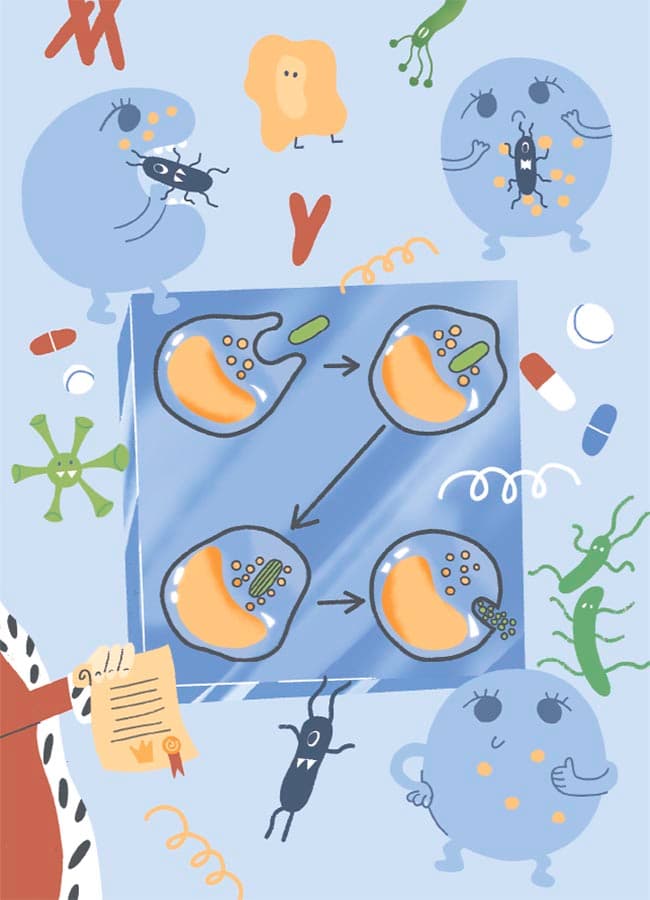 Відкриття та винаходи, які українці подарували світу. Розповіді для дітей, фото - 2