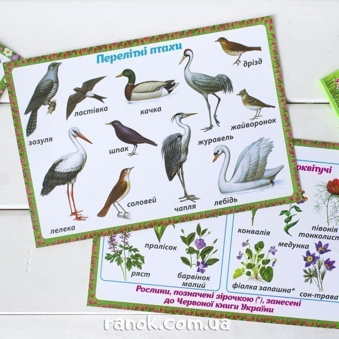 Розповімо дітям.Весняні спостереження, фото - 2