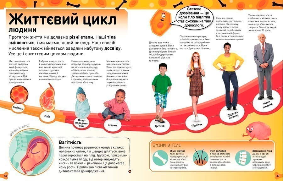 Фантастичне тіло. Шалена кров, круті кістки, потайні нутрощі й інші дивовижі, фото - 3