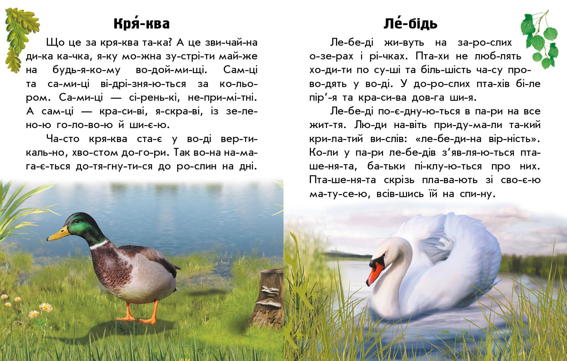 Тварини річок та морів, фото - 3