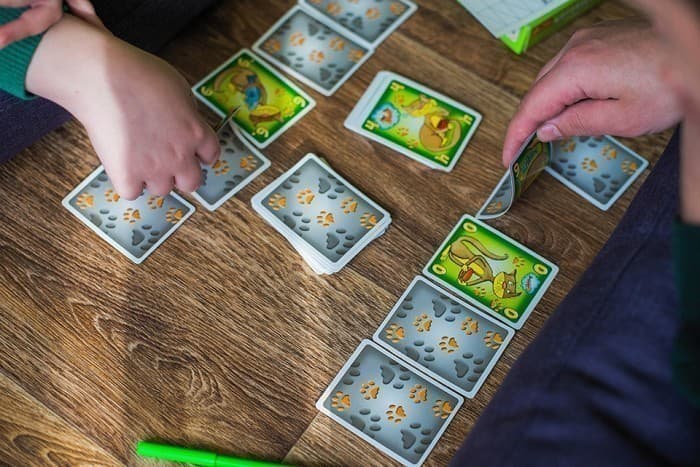 Гра.Котовасія(дорожня), фото - 2