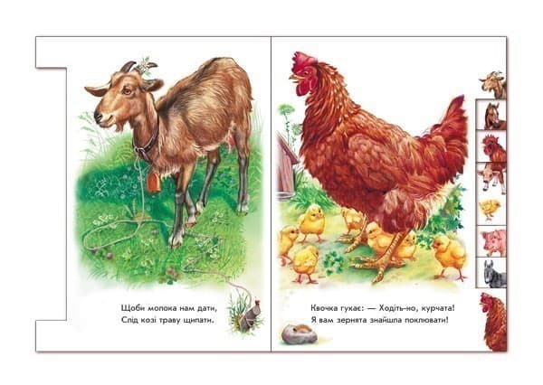 На подвір&#39;ї, фото - 3