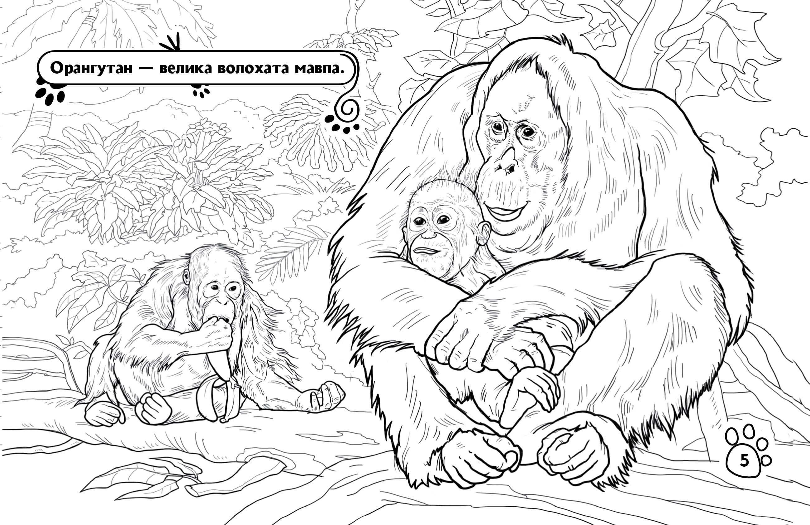 Розмальовка. Тварини з далеких країв, фото - 3