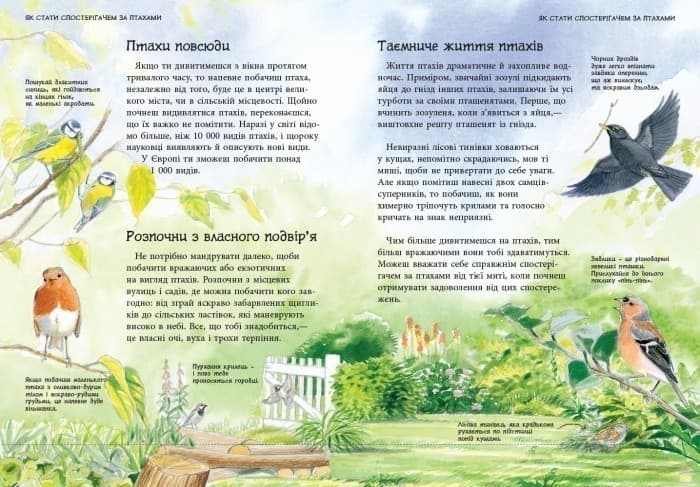 Спостерігаємо за птахами, фото - 3
