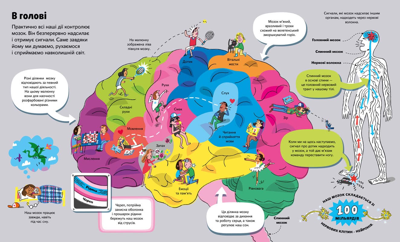 Велика книга про тіло, фото - 3