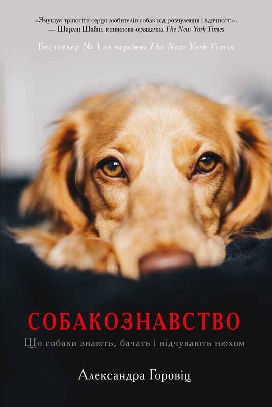 Собакознавство. Що собаки знають, бачать і відчувають нюхом, фото - 1