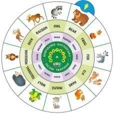 Обертайка. Вивчаємо англ. мову. Лісові тварини, фото - 1