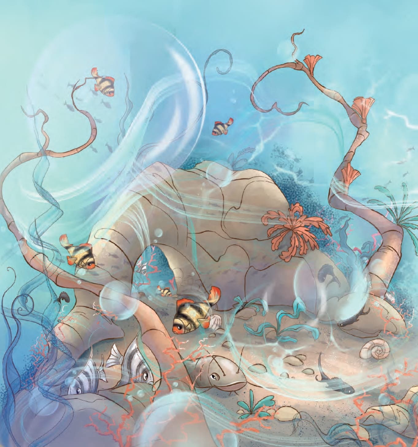 Гармидер в акваріумі, фото - 3