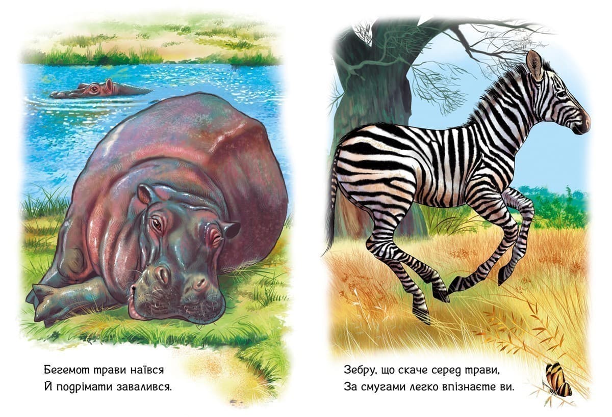 Тварини світу (Малятам про звіряток), фото - 2