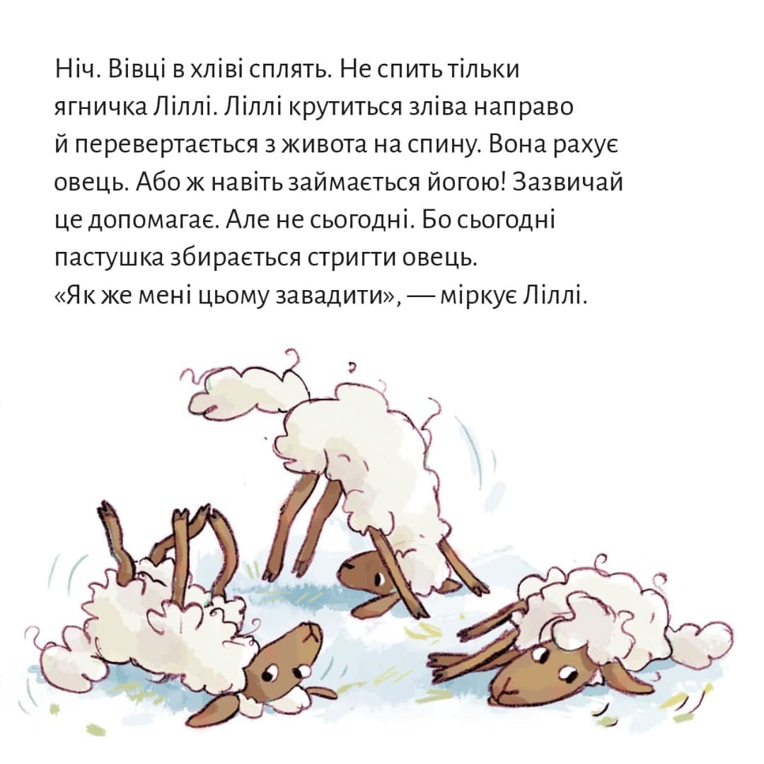 Найбарвистіша отара овець у світі (№94), фото - 3