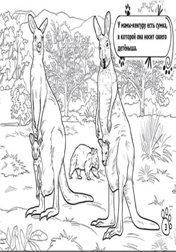 В дальних странах, фото - 2