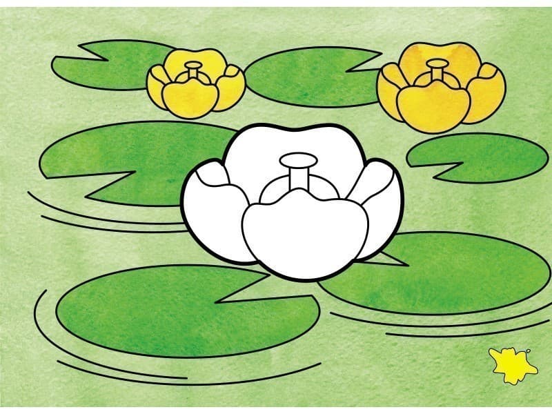 Кольори-хованки, фото - 3