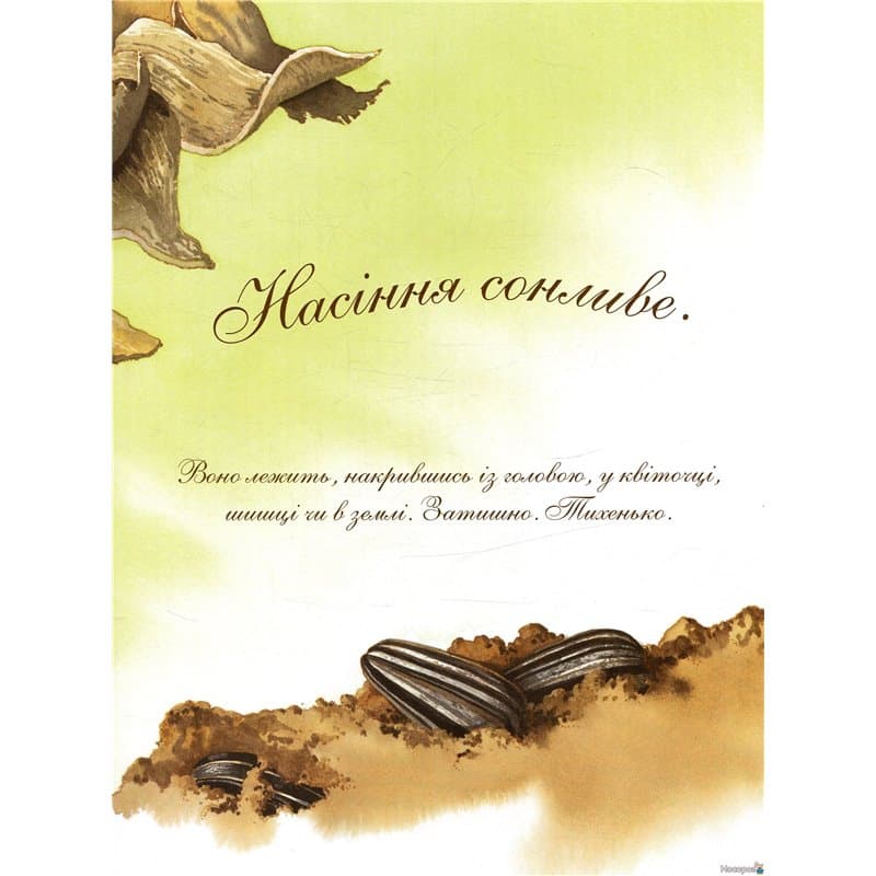 Насіння сонливе (Арт-енциклопедія для дітей), фото - 2