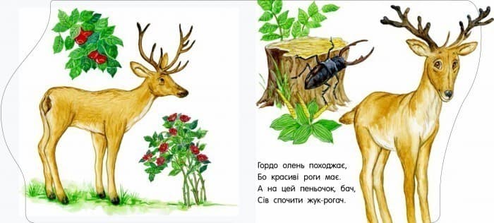 У зоопарку, фото - 2