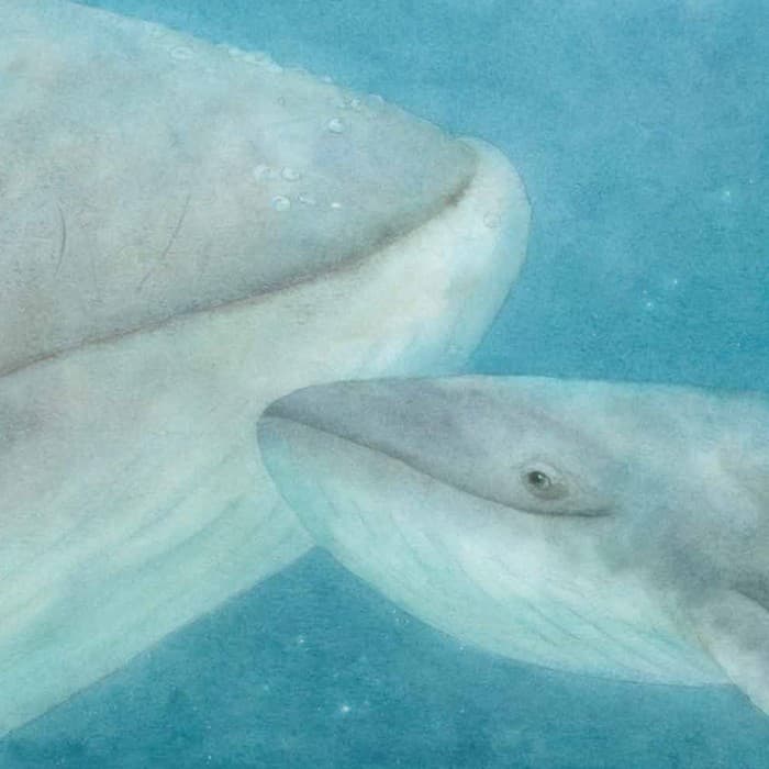 Маленький Кит, фото - 3