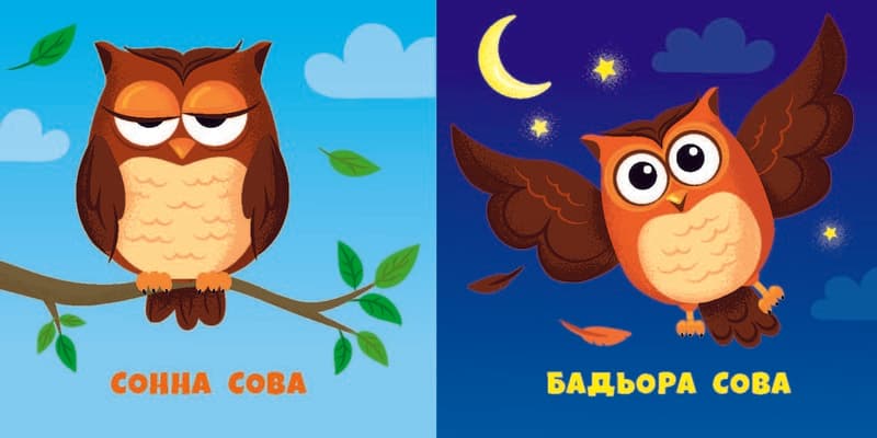 Живе Неживе, фото - 2