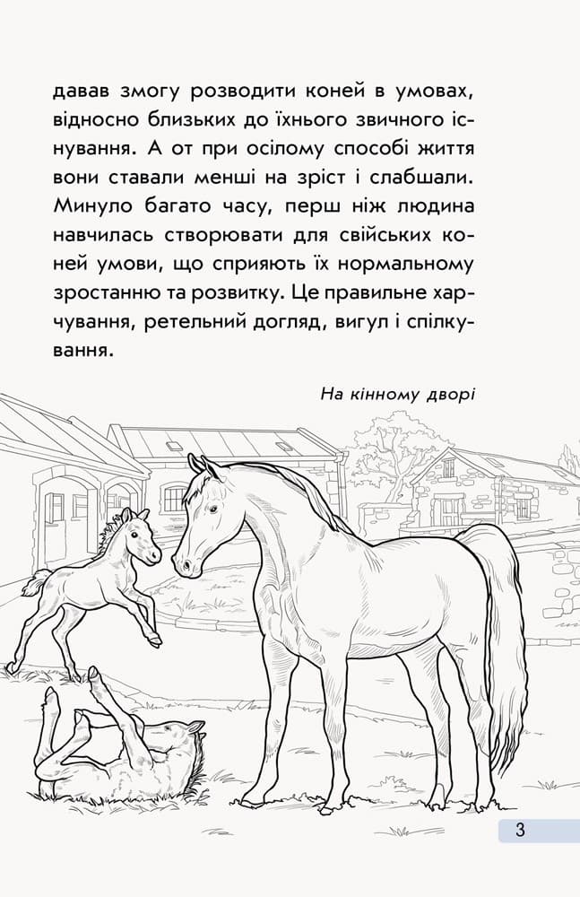 Все про коней, фото - 3