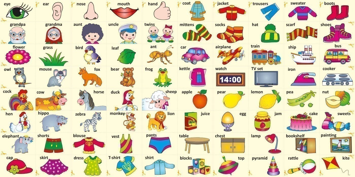 Розвивалочка. Вивчаємо English, фото - 2