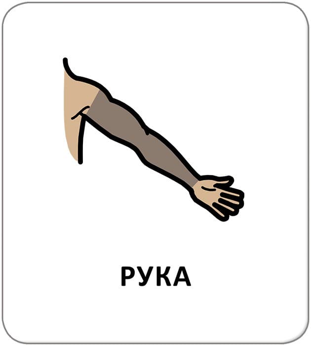 Картки з піктограмами. Гігієна. Моє тіло, фото - 3