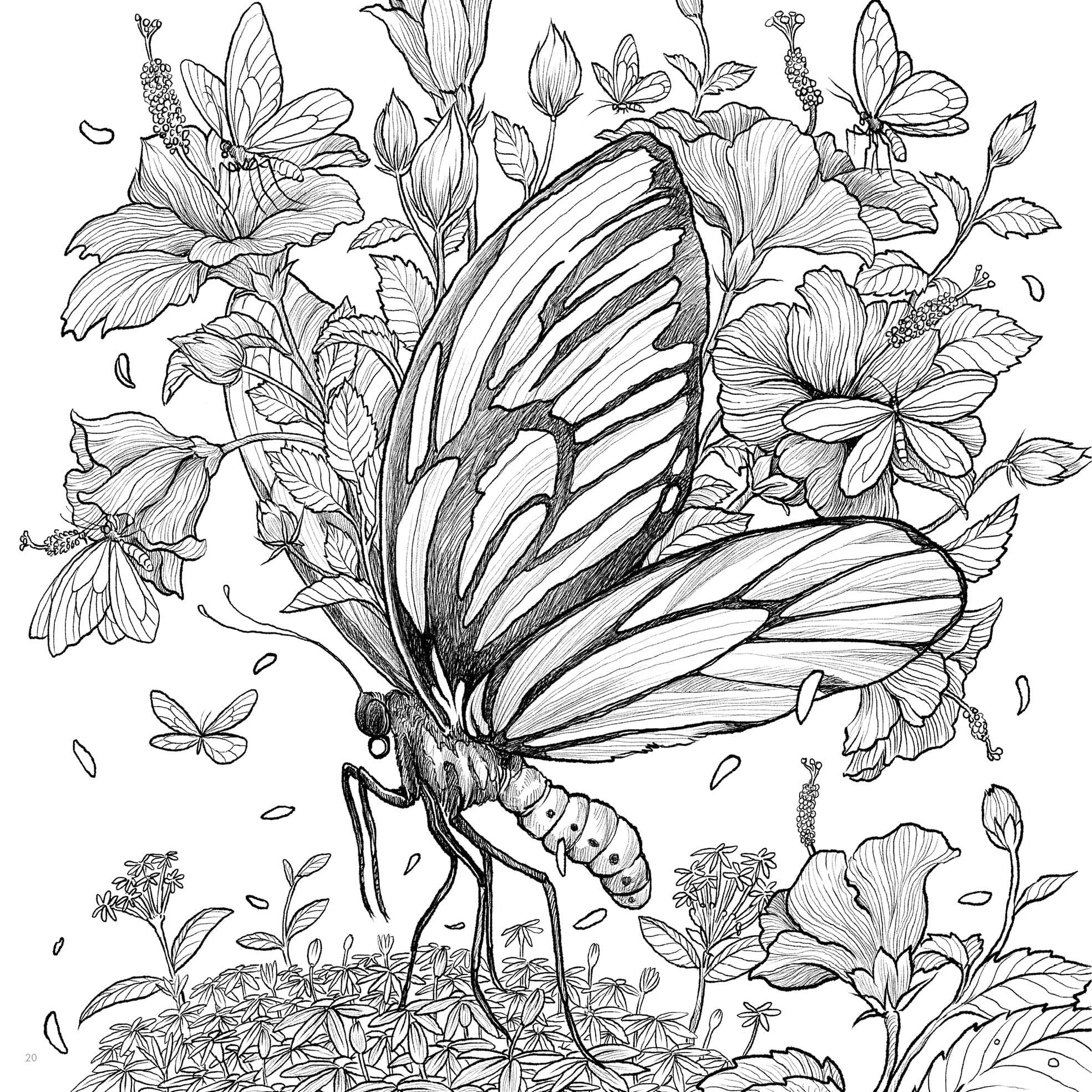 Зникомий світ, фото - 2