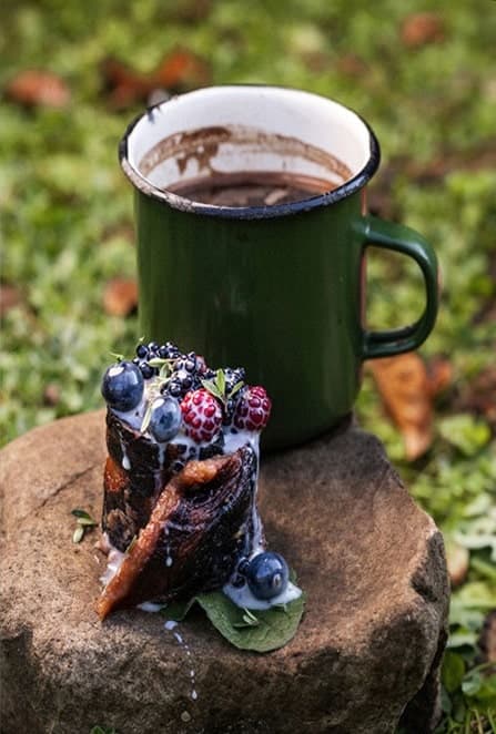 Cooking in the Wild. Сучасна гастрономія в глибинах Карпат, фото - 3