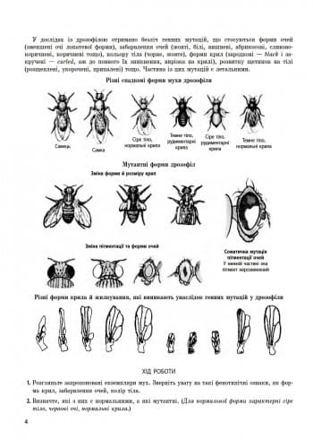 Біологія Зошит для лабораторних і практичних робіт. 11 клас. Профільний рівень, фото - 2