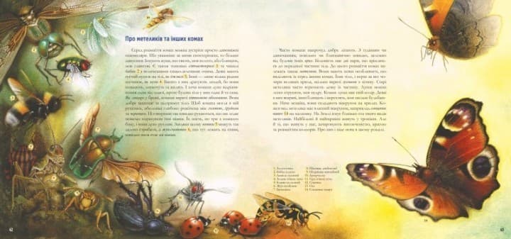 Годинник природи, фото - 2