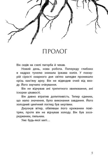 Провідник, фото - 2