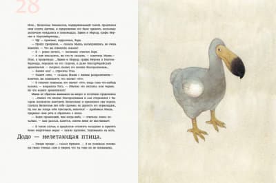 Куди поділася черепаха?, фото - 3