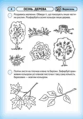 Промінчики знань. 4+ Робочий зошит. Інтегровані заняття ДИТИНА, фото - 3