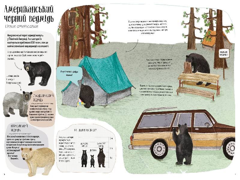 Ведмежа книга, фото - 3