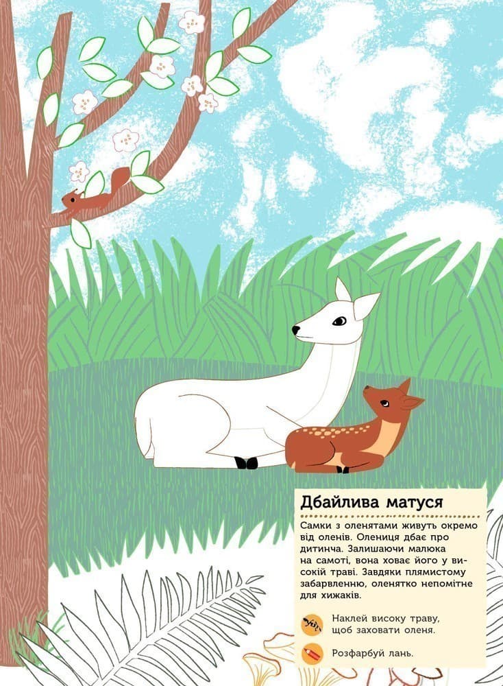 Тварини лісу. Моя книга природи, фото - 3