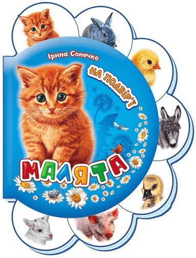 На подвір&#39;ї