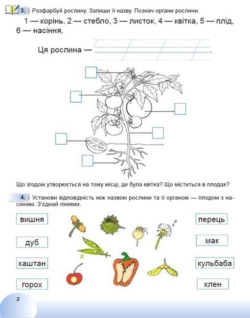 Я досліджую світ. 1 клас. Робочий зошит з інтегрованого курсу. Частина 2, фото - 3