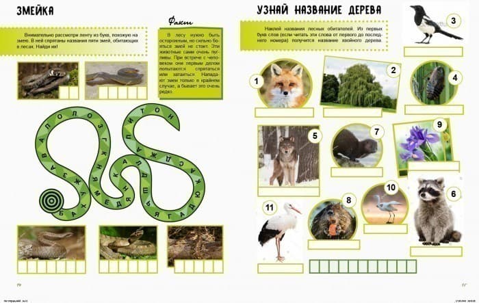 Жизнь леса. Тетрадь, фото - 2