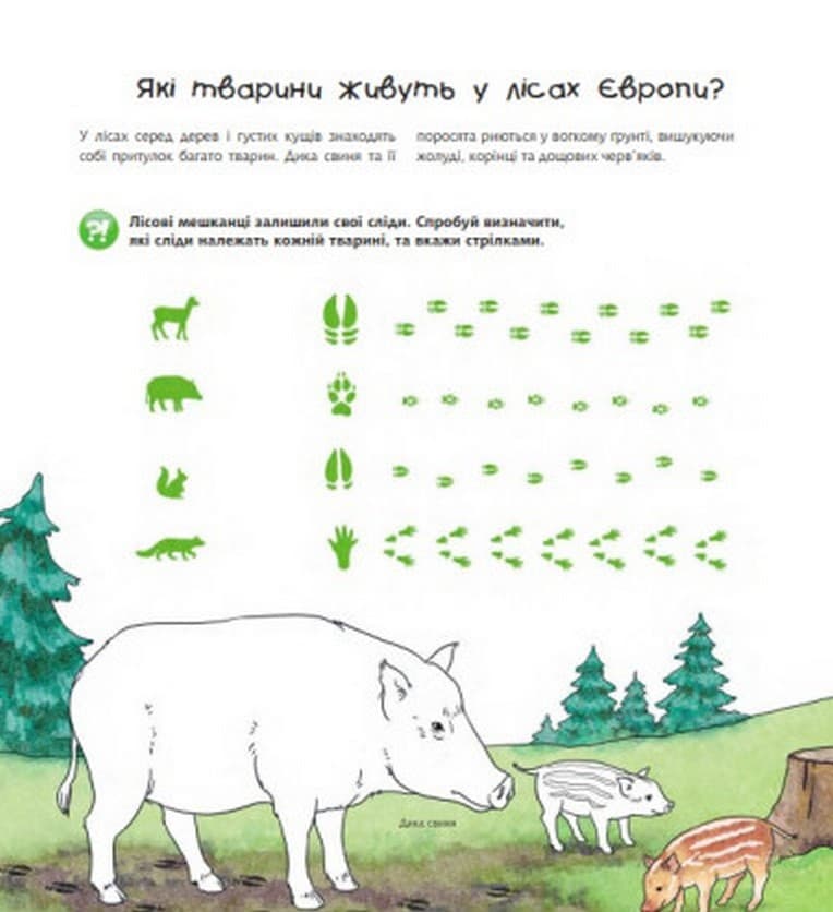 Чому? Чого? Навіщо? Тварини світу. Інтерактивна книжка. 4-7 років, фото - 2