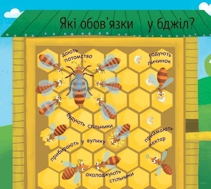 Як утворюється мед?, фото - 2