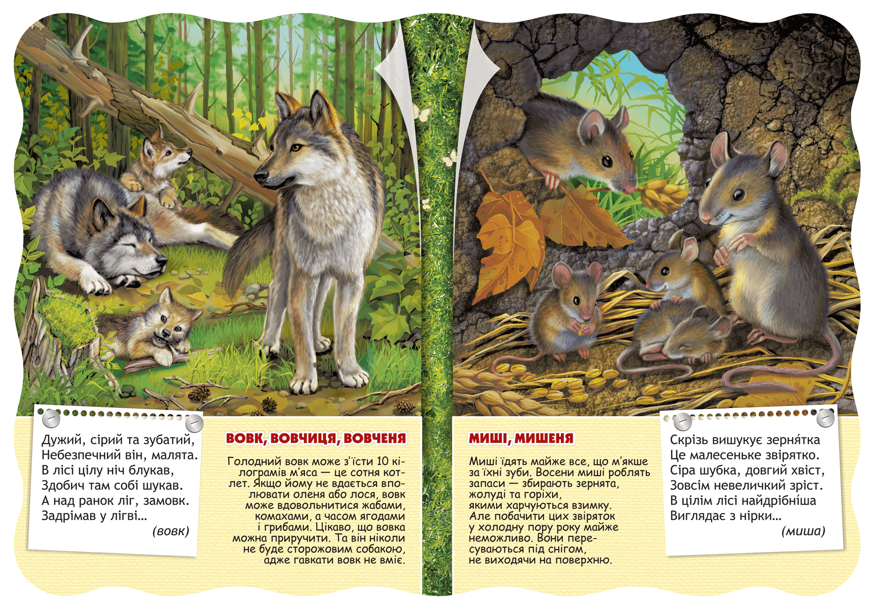 Лісові тварини (Малятко-розумнятко) (мінімальний брак), фото - 3