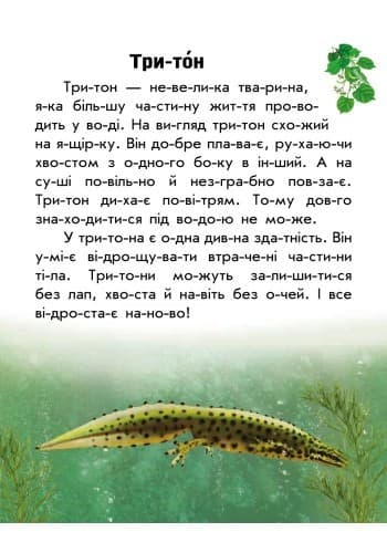 Моя Україна. Читаємо по складах: Тваринний світ річок і морів, фото - 2