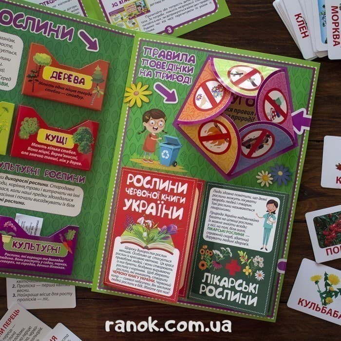 Лепбук.Рослини, фото - 2