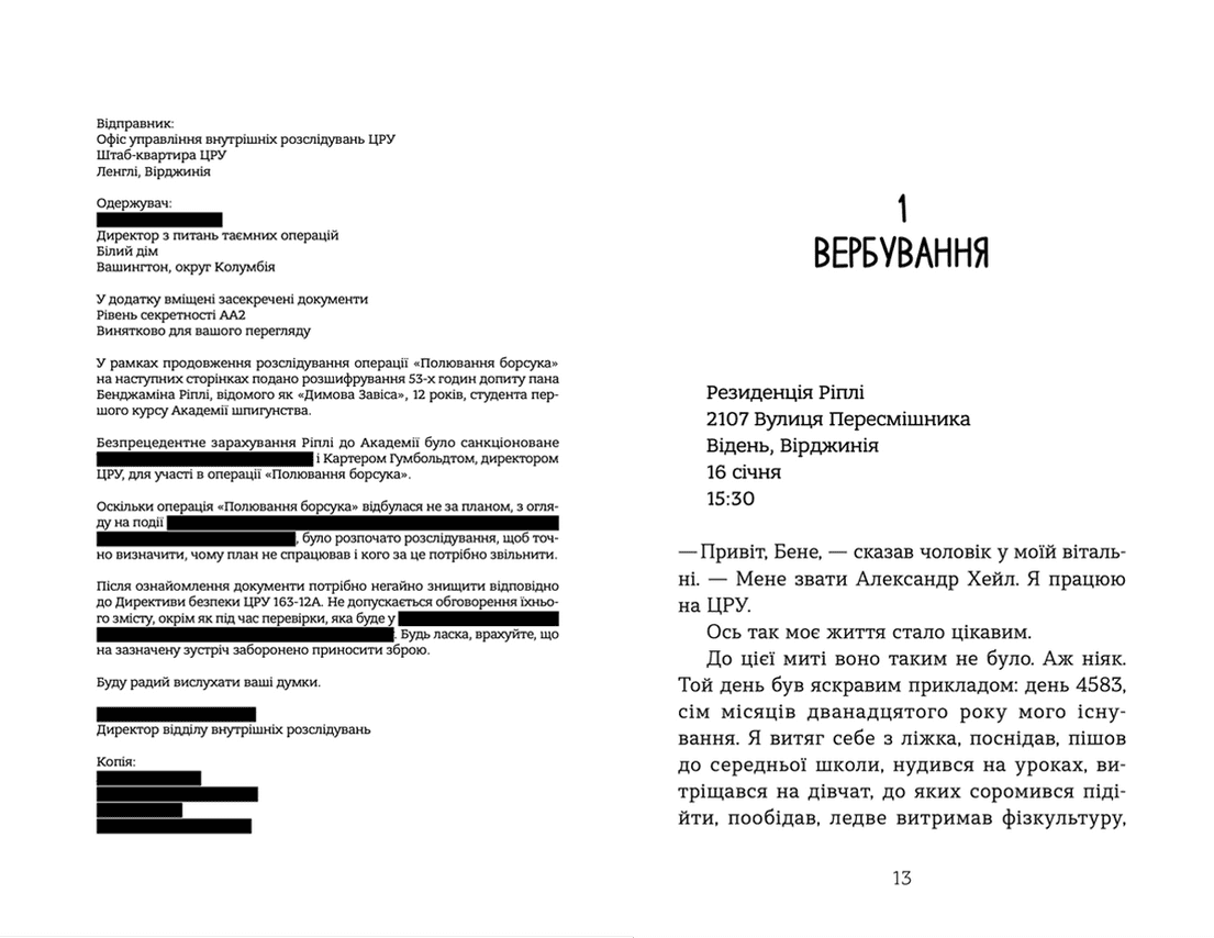 Шпигунська школа (з пошкодженням), фото - 2