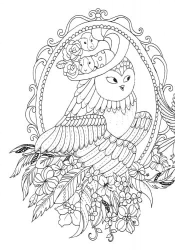 Майже мільйон сов, фото - 2