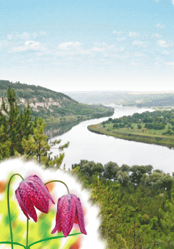 Річки та озера, фото - 2