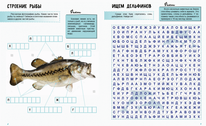 Мир моря. Тетрадь, фото - 3