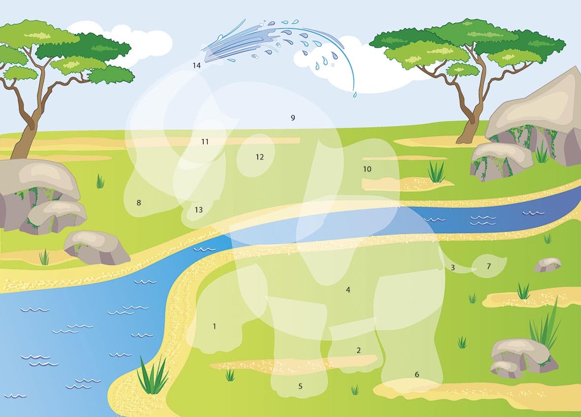 Малюнки з наліпок : Панда, фото - 2