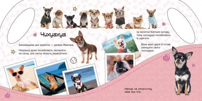 Песики, фото - 3