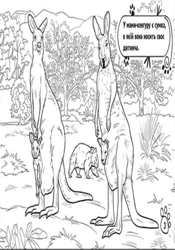 У далеких країнах, фото - 3