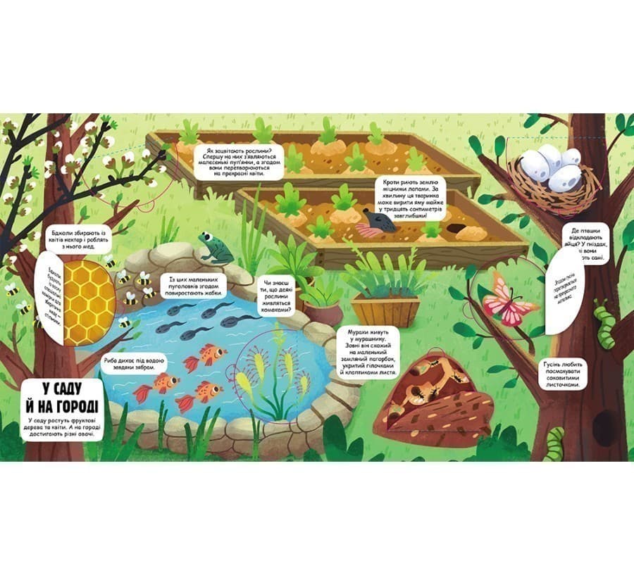 Маленькі дослідники: Світ навколо мене, фото - 2