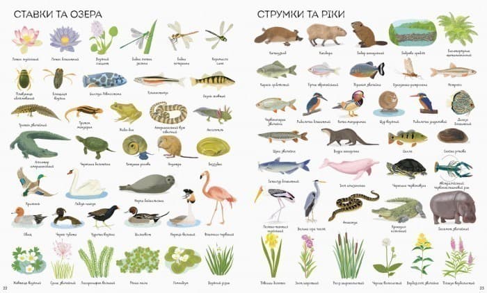 1000 назв природи, фото - 2