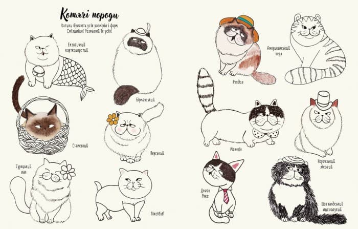 Котюрморт, фото - 3